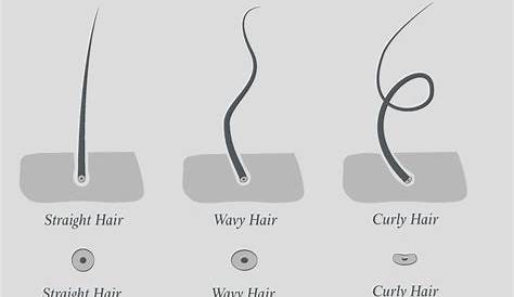 Fine Curly Hair Meaning 21 styles For Feed Inspiration