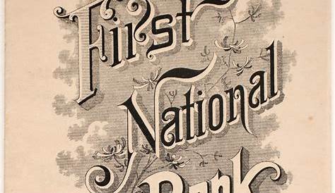 First National Bank, Roswell, NM Statement (90294)