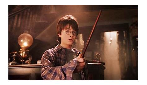 Why Was Harry Potter Able to Break the Elder Wand? | POPSUGAR Entertainment