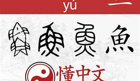 Evolution of 魚/鱼 (yú) - fish | Chinese language learning, Learn