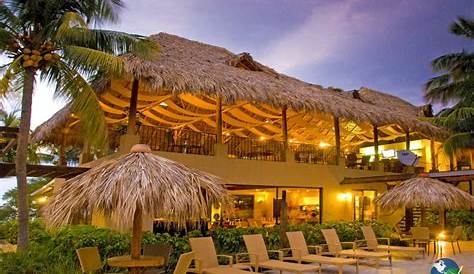 Flamingo Beach Resort; Prices, Contacts, Location, Menu, Rooms, Bars
