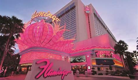 Flamingo Las Vegas - Hotel & Casino ab 14 €. Hotels in Las Vegas - KAYAK