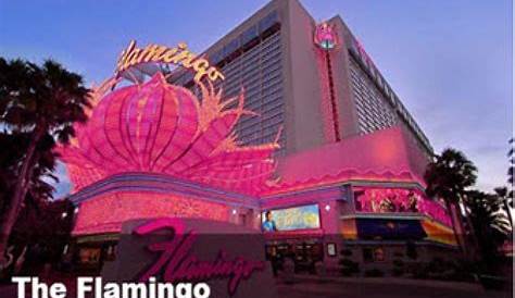 Hilton Grand Vacations at the Flamingo, Las Vegas