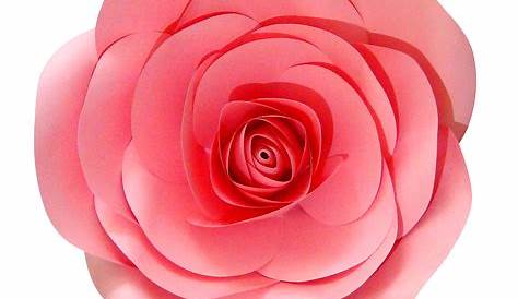 Flor rosa con hojas de acuarela - Descargar PNG/SVG transparente