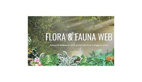 Flora & Fauna Web - Gardening Resources - Gardening - National Parks