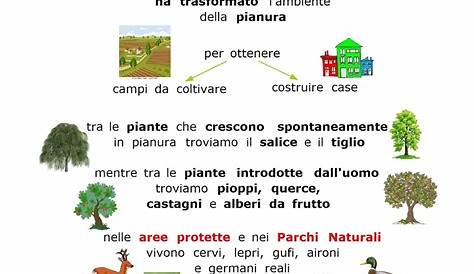 Paradiso delle mappe: Piante e animali in pianura | Scuola, Lezioni di