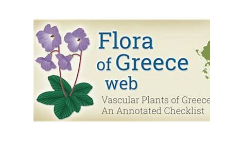 The flora - Crete - Greece