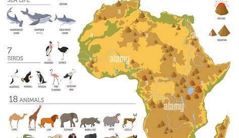 La flora y la fauna de África plana mapa elementos de constructor