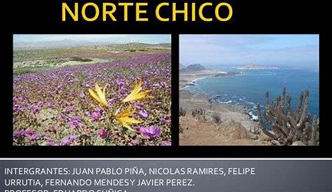 FLORA y FAUNA de CHILE - Características y ejemplos