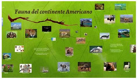 Sintético 99+ Foto Flora Y Fauna Del Continente Americano El último