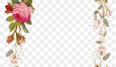 Flower - Pink flower borders png download - 1000*1000 - Free