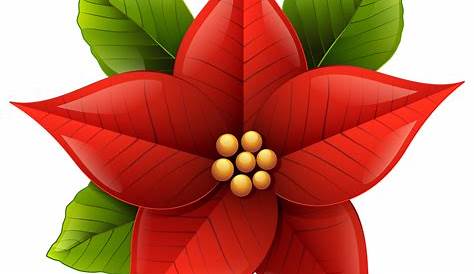 Christmas Poinsettia PNG Clip-Art Image | Рождественские цветы