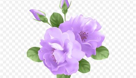 Flor morada pétalos finos planos - Descargar PNG/SVG transparente