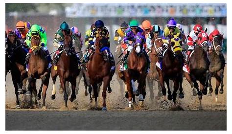 Can Nyquist follow American Pharoah’s Triple Crown run? | WTOP News