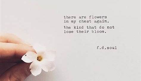 Flower+Quotes+For+Instagram