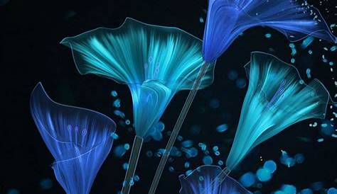 Flower Blue Wallpaper Blue And Black 62+ Pictures