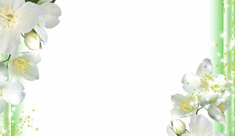 Green floral border stock vector. Illustration of wallpaper - 65357687