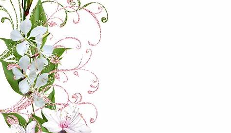 flower border png 10 free Cliparts | Download images on Clipground 2024