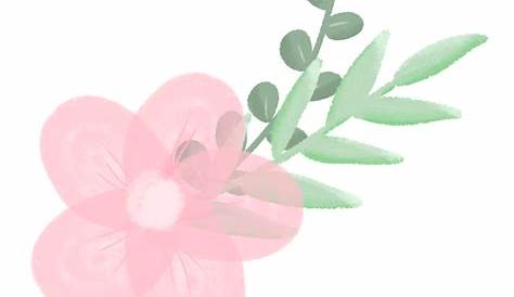 Aesthetic Line Art PNG Transparent, Aesthetic Flower With Line Art
