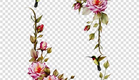 Floral Flower Frame Transparent PNG - PNG Play