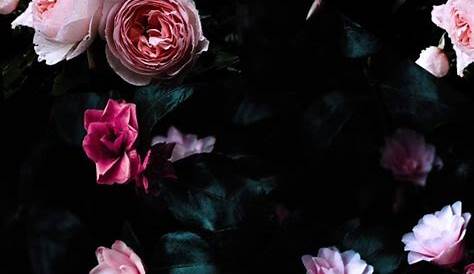 Flower Iphone Wallpaper Black Background