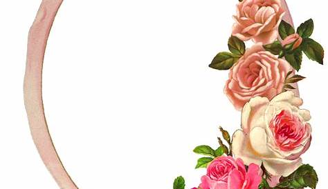 Rose flower frame vector PNG Vector flower PNG image download free
