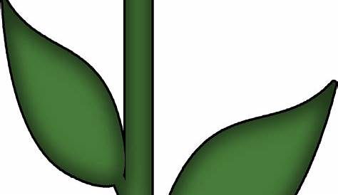 Flower stem png, Flower stem png Transparent FREE for download on