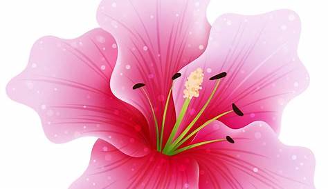 Download High Quality Flower clipart transparent Transparent PNG Images