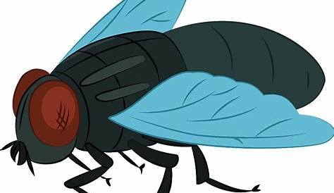 Insect Fly Clip art - fly png download - 2400*1605 - Free Transparent