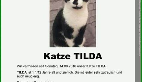 Katze Vermisst Flyer Vorlage Fabelhaft Tierheim Itzehoe