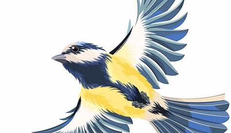 Flying bluebird clipart. Free download transparent .PNG | Creazilla