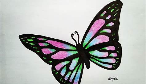 Pencil Drawing Of Butterfly