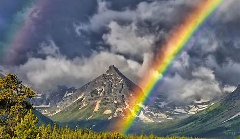 Arc-en-ciel Fond d'écran HD | Arrière-Plan | 2560x1600 | ID:241591