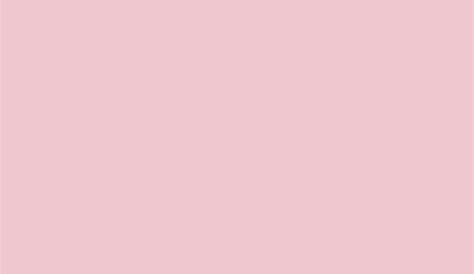 Fondo de papel en colores pastel rosado de la textura. plantilla para