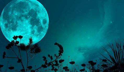 Moon ♥ | Luna llena, Fondos de pantalla naturaleza y Luna hermosa
