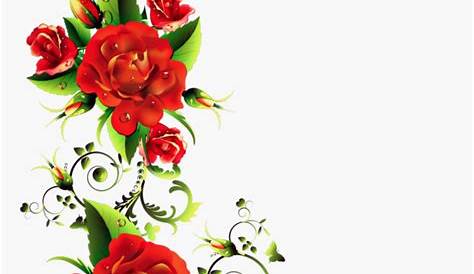 Rosa PNG imágenes de flores, descarga gratuita