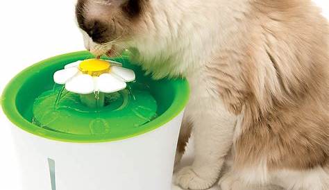 Fontaine A Eau Chat à Silencieuse Pour 2L à