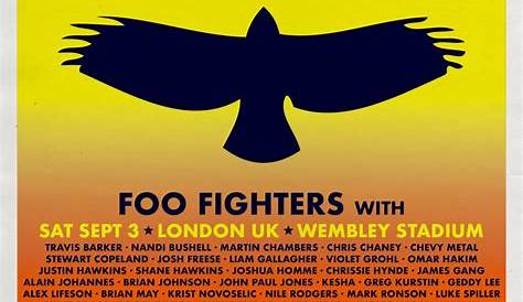 Foo Fighters drummer Taylor Hawkins has died - Afrik Best Radio