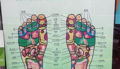 Foot Echo Schematic Drawing In English
