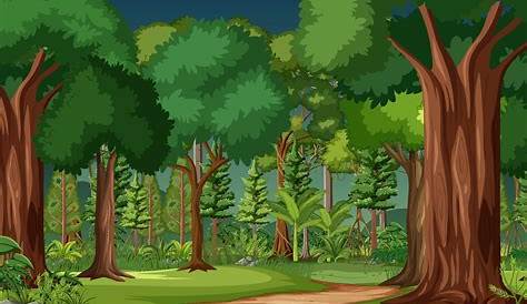 Forest clipart, Forest Transparent FREE for download on WebStockReview 2024