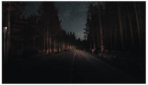 Night Forest 4k Wallpaper - All HD Wallpapers | Nature desktop