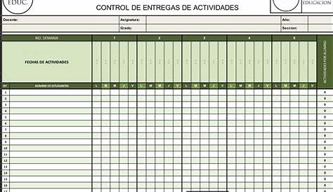 Control de Actividades en Excel - Solís Enterprises | Plantillas en Excel