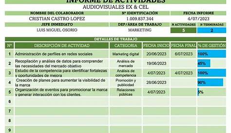 Plantilla en Excel Control de Tareas | Administracion de tareas, Hojas