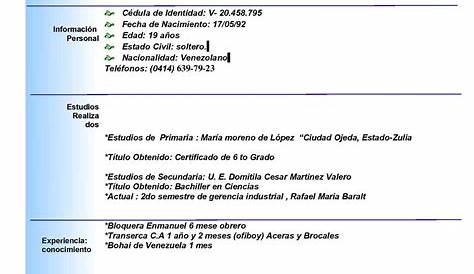 Sintesis Curricular / Curriculum / Plantilla Modelo 19 - Bs. 574.482,21