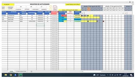 Amperio boxeo pájaro plantilla seguimiento de tareas excel entregar