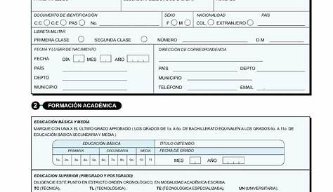 Hojas de Vida Profesionales para trabajar 2024 | FDET