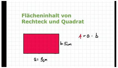 Flächeninhalt berechnen - Rechteck und Quadrat | Mathematik einfach