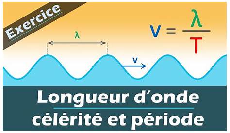 Transmission sur fibres optiques