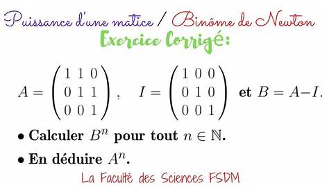 Formule Du Binôme De Newton