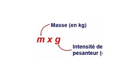 Cours de Physique-chimie 3e - Relation entre le poids et la masse d'un